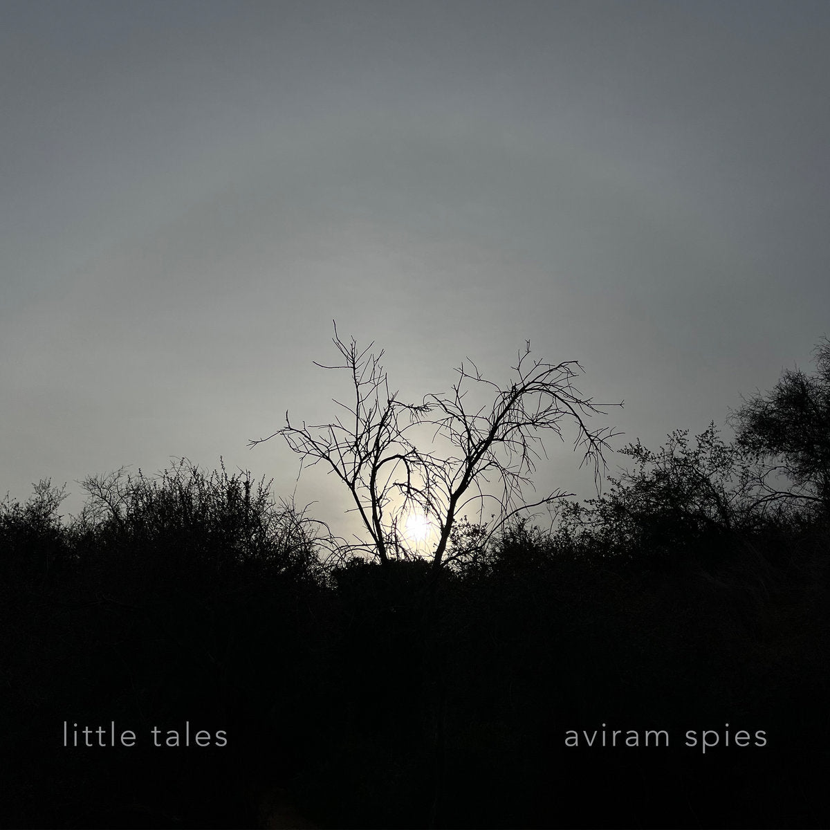 Aviram Spies Crafts A World of Musical Narratives in 'Little Tales'