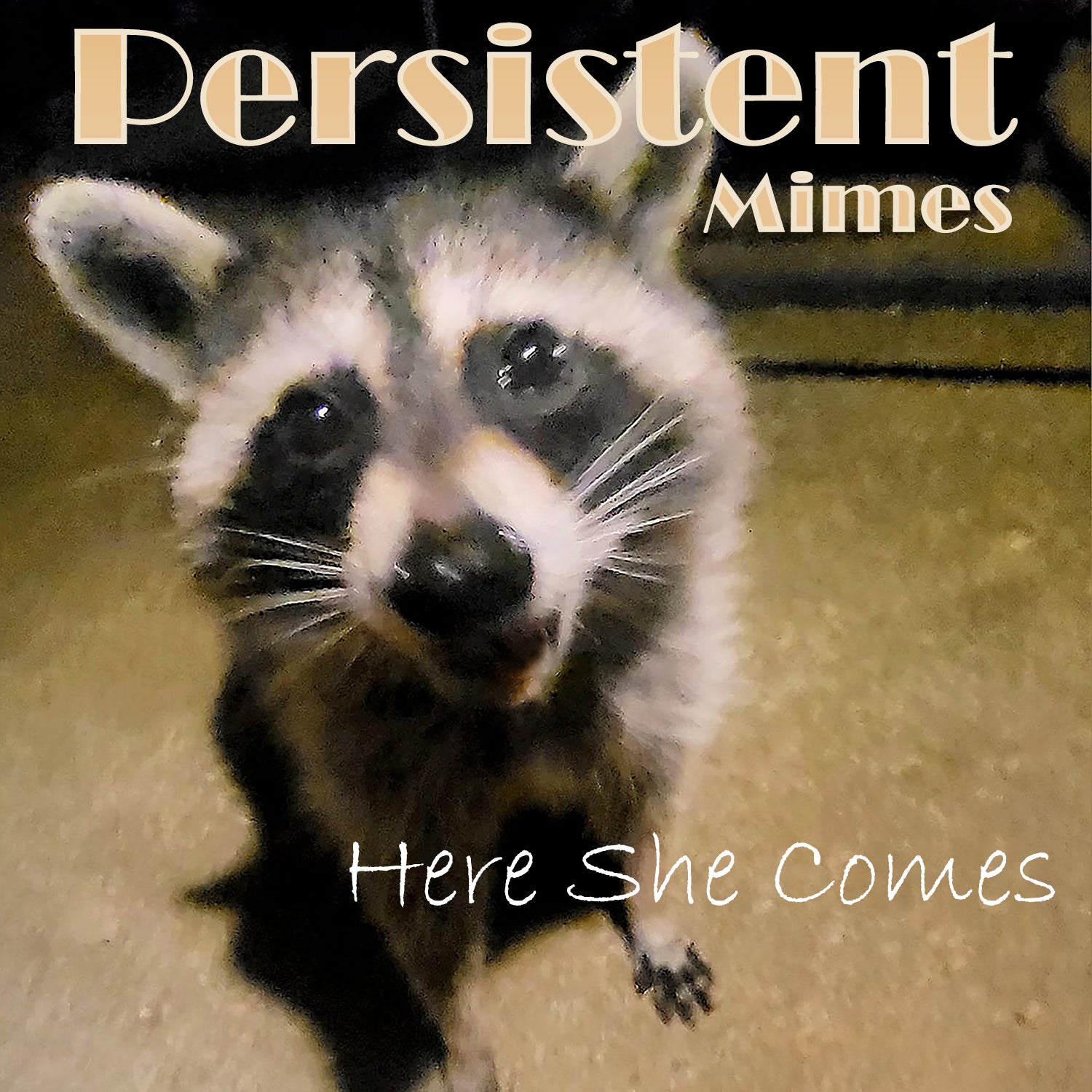 Ohio’s Persistent Mimes Make Their Debut With ‘Here She Comes’
