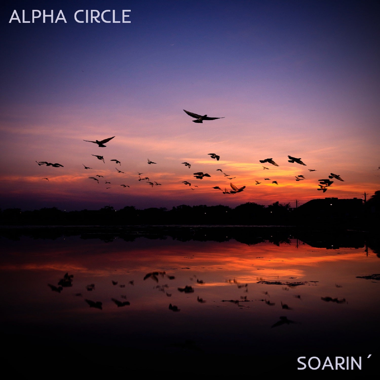 Alpha Circle – ‘Soarin’