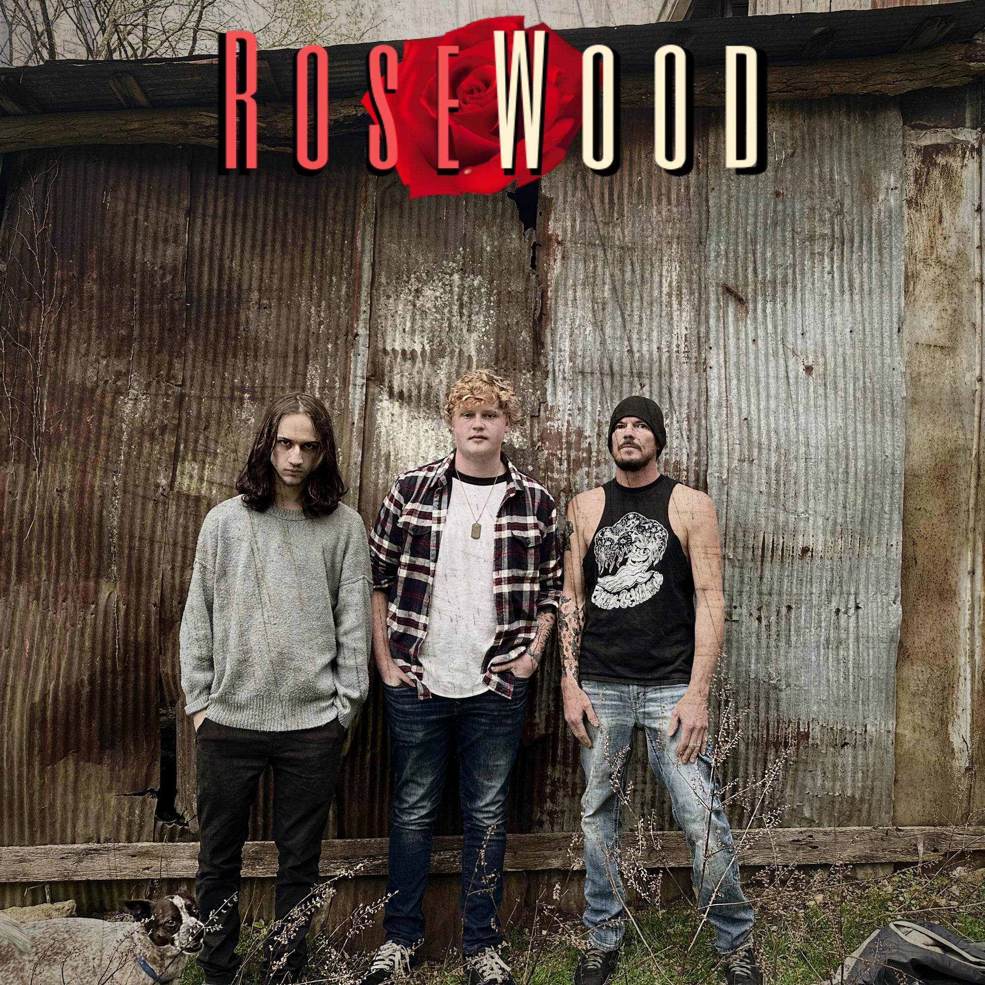 RoseWood – ‘Say The Least’