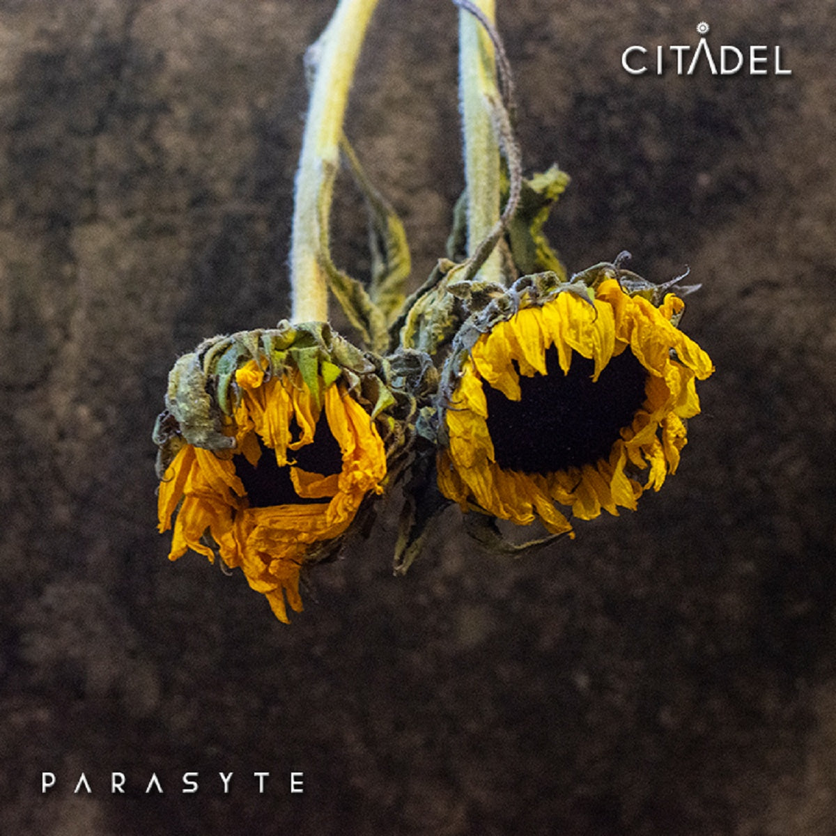 Citadel - 'Parasyte'