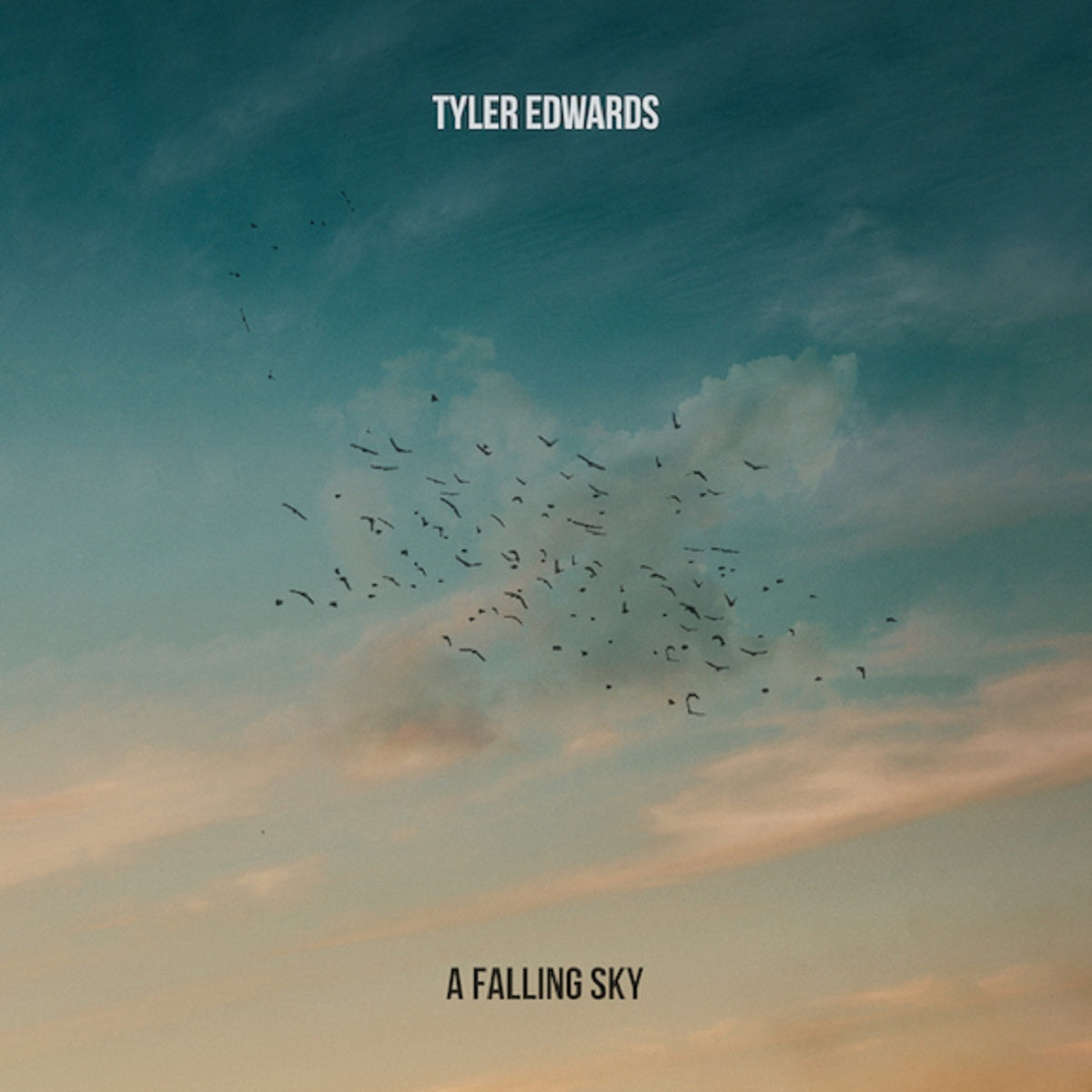Tyler Edwards – ‘A Falling Sky’