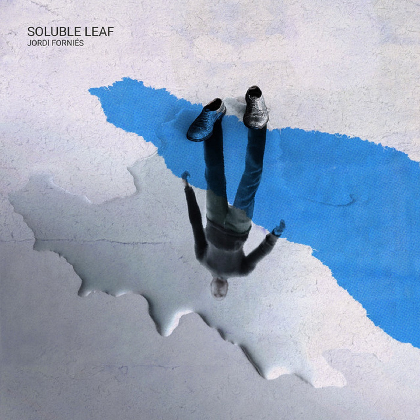 Jordi Forniés – ‘Soluble Leaf’