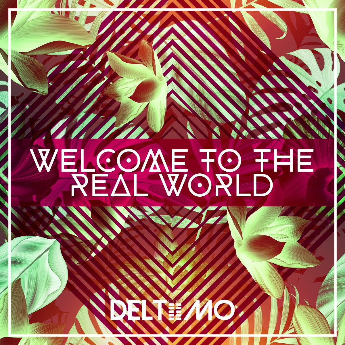 Deltiimo - 'Welcome To The Real World'