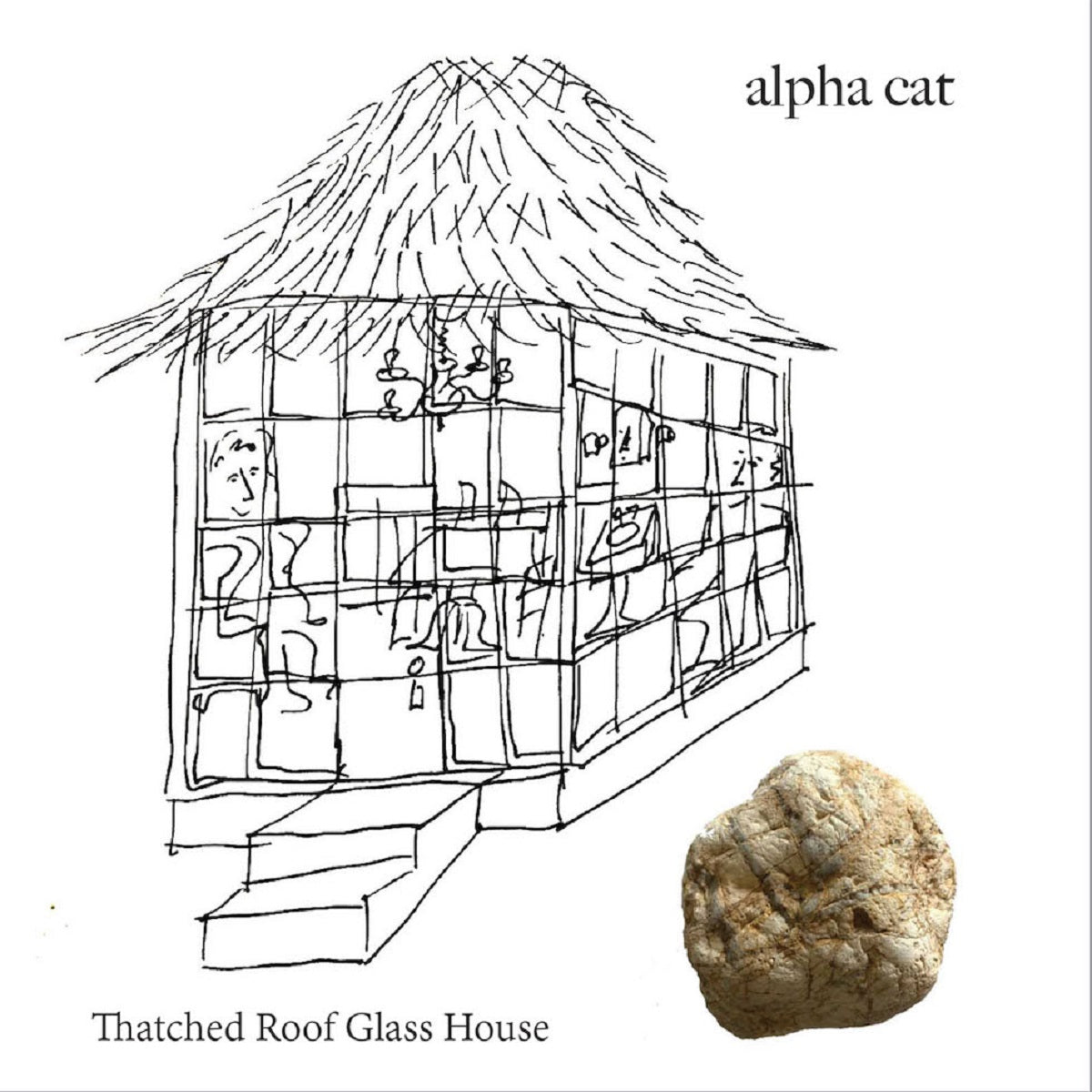 Alpha Cat – ‘Thatched Roof Glass House’