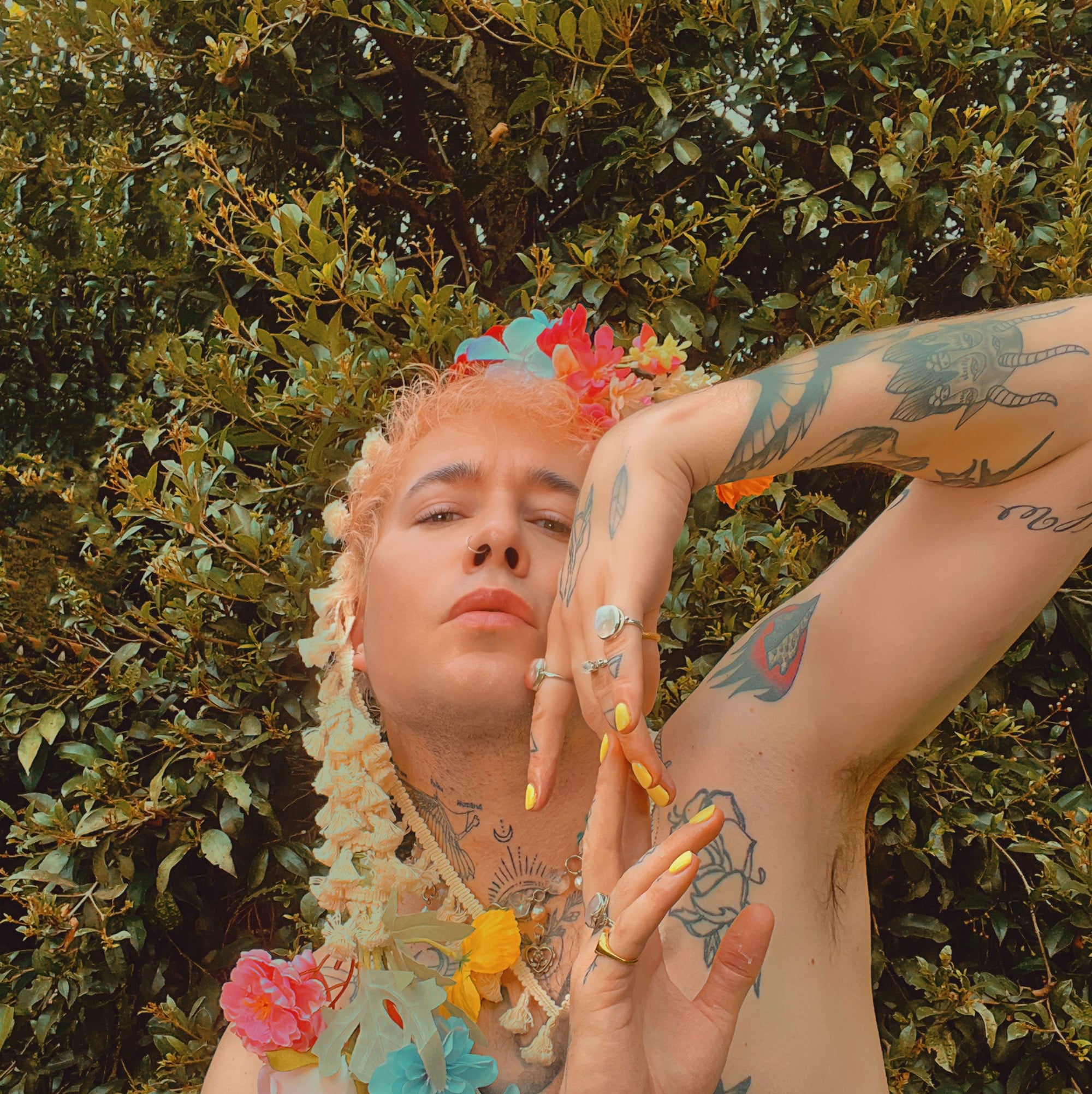 Indie artist WCB sprinkles pop magic on 'Picnics & Liquor' with new single and video