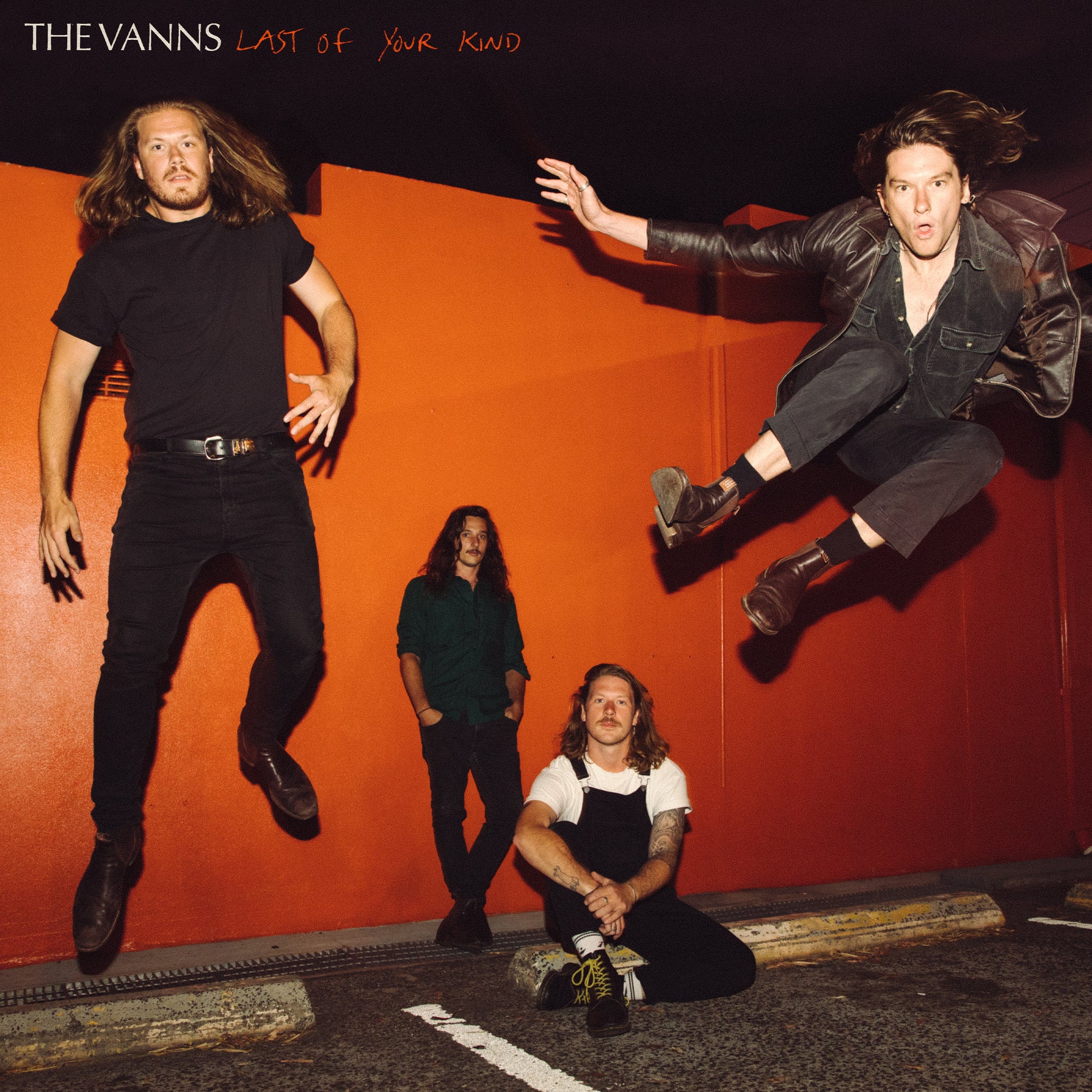 The Vanns - 'Last Of Your Kind'