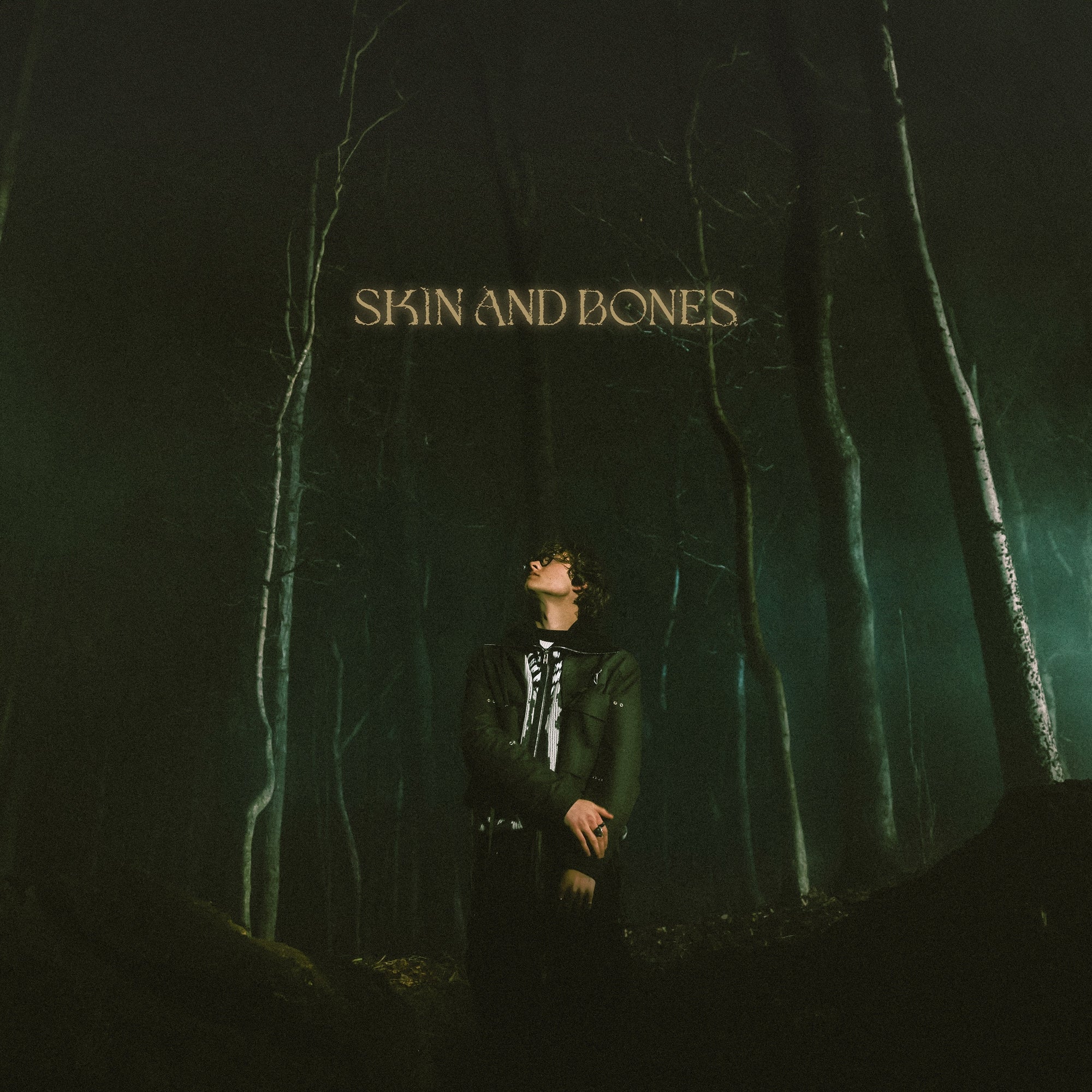 Indie folk musician David Kushner releases his long-teased new track 'Skin and Bones'