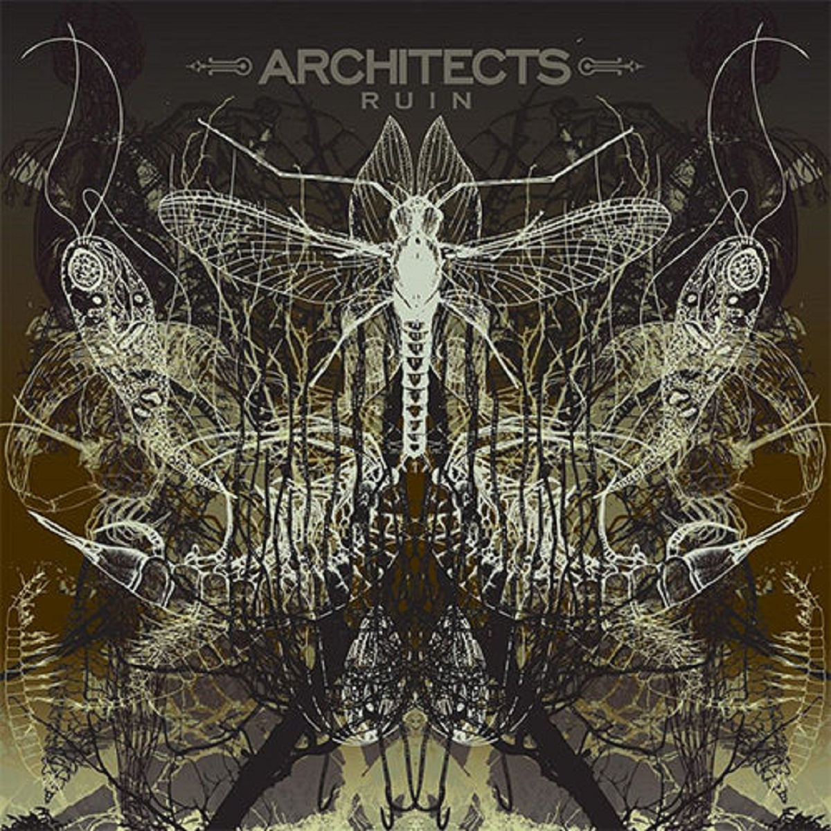 Architects - &#39;Ruin&#39;
