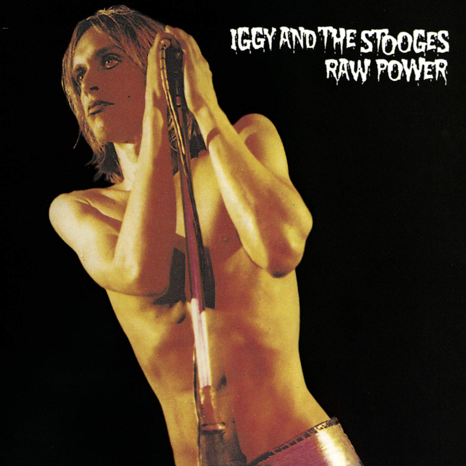 Iggy & The Stooges - Raw Power - BROKEN 8 RECORDS