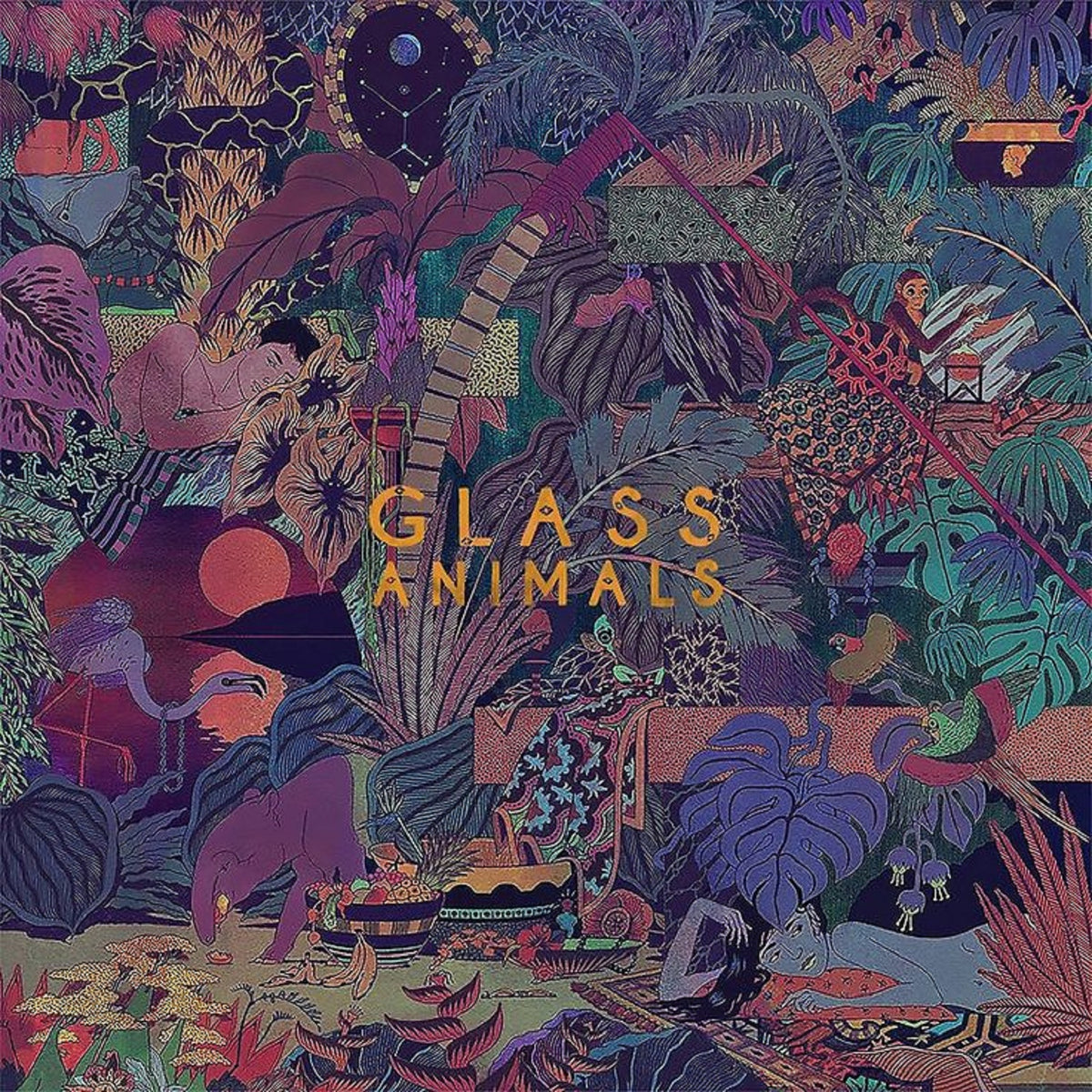 Glass Animals - Zaba - BROKEN 8 RECORDS